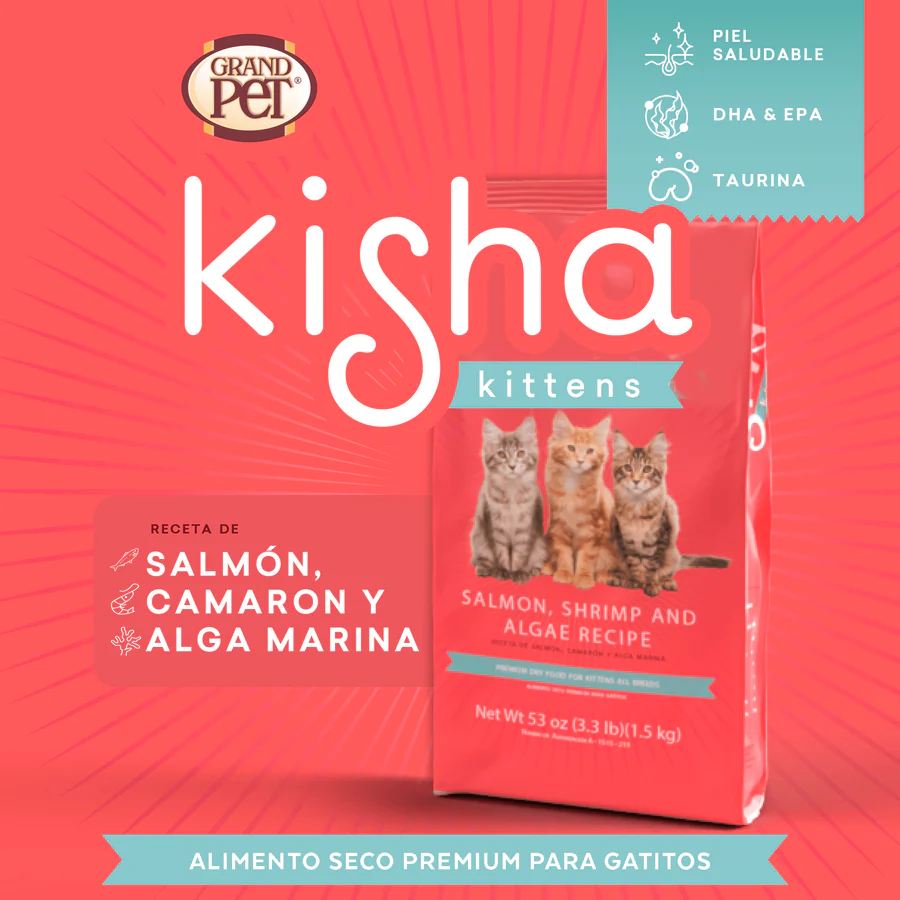 Kisha Alimento para Gatitos Kisha Alimento para Gatitos
